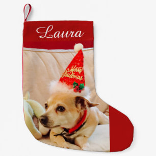 Petite Chaussette De Noël Joli Chihuahua Chien 4Laura Noël
