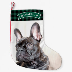 Petite Chaussette De Noël Joli Plaid Vert Festif Photo Personnalisée Chien d