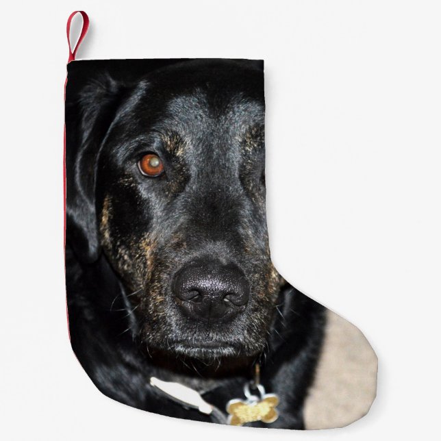 Petite Chaussette De Noël Jolie éclaboussure de fille (Devant)