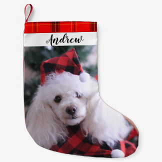 Petite Chaussette De Noël Le chien de caniche Noël Réservation