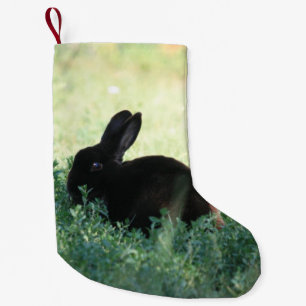 Petite Chaussette De Noël Le double noir de lapin de Lil a dégrossi