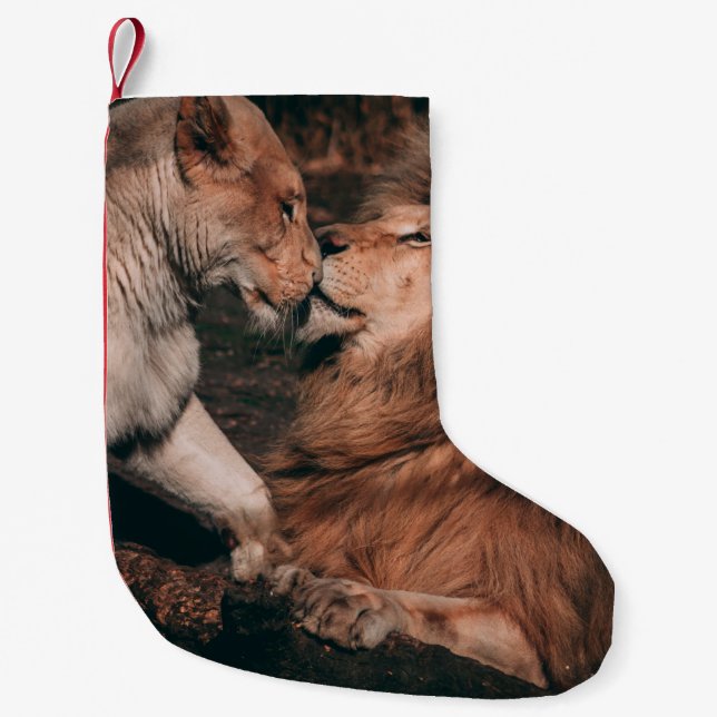 PETITE CHAUSSETTE DE NOËL LION ALLANT SUR ROCHE BROWN (Devant)