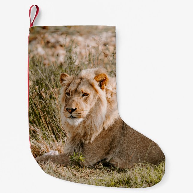 PETITE CHAUSSETTE DE NOËL LION EN GRAS (Devant)
