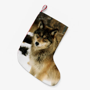 Petite Chaussette De Noël Loups dans la neige