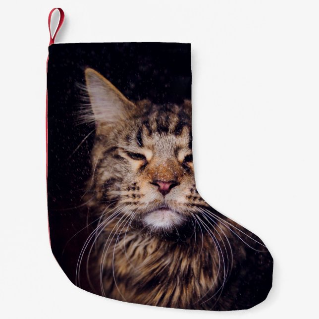 Petite Chaussette De Noël maine coon sur un arrière - plan noir (Devant)