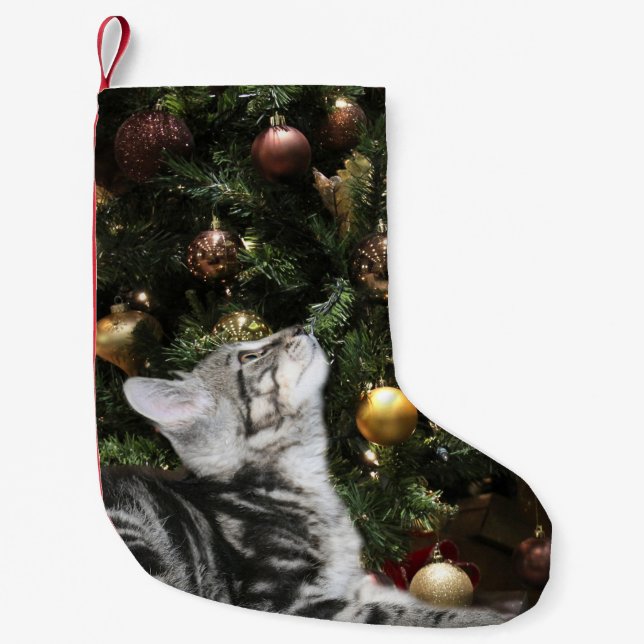 Petite Chaussette De Noël Minou tigré (Devant)
