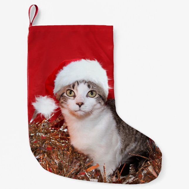 Petite Chaussette De Noël Minou tigré dans le casquette de Père Noël (Devant)