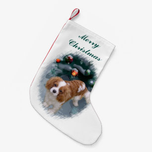 Petite Chaussette De Noël Noël Cavalier King Charles Spaniel