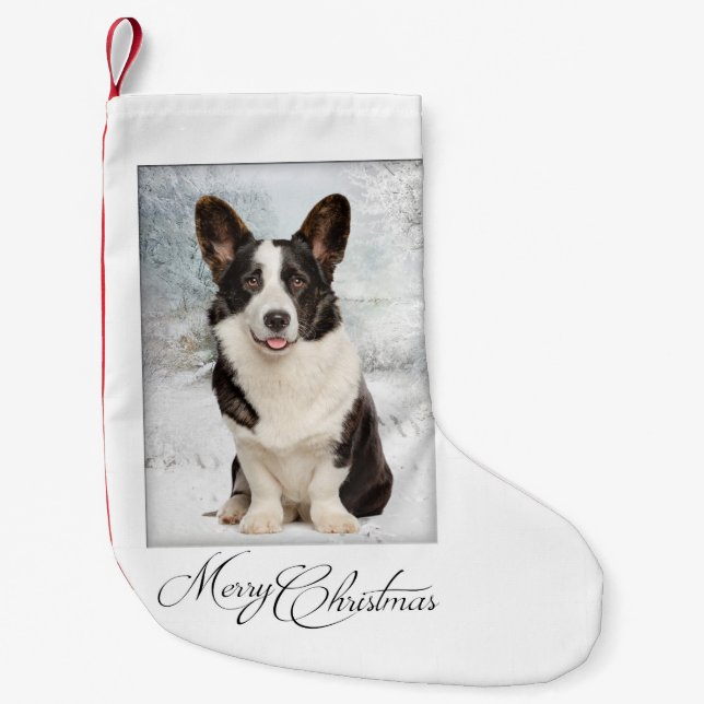 Petite Chaussette De Noël Noël de Corgi (Devant)