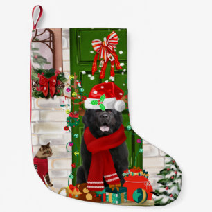 Petite Chaussette De Noël Noël du chien de Terre-Neuve