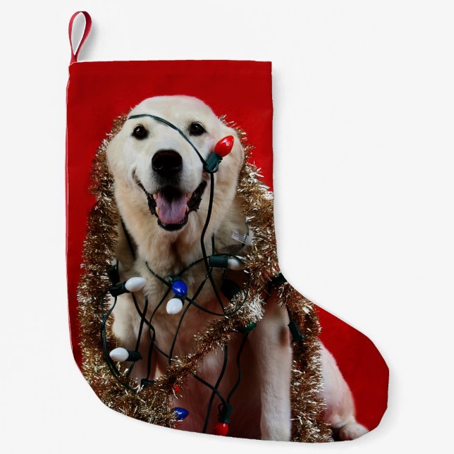 Petite Chaussette De Noël Noël jaune de laboratoire (Devant)