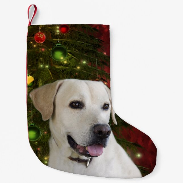 Petite Chaussette De Noël Noël jaune de laboratoire (Devant)