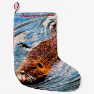 Petite Chaussette De Noël Noël Stocker Mon Vieux Castor