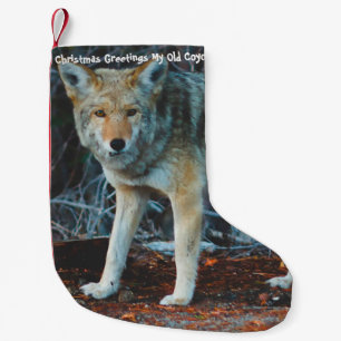 Petite Chaussette De Noël Noël Stocker Mon vieux Coyote