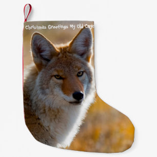 Petite Chaussette De Noël Noël Stocker Mon vieux Coyote