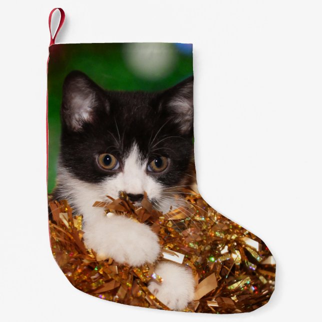 Petite Chaussette De Noël Noël vilain de minou de smoking (Devant)