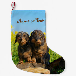 Petite Chaussette De Noël Nom d'animal domestique mignon de deux de teckels