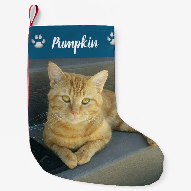 Petite Chaussette De Noël Orange Tabby Chat Pet Photo Bleu Personnalisé (Devant)