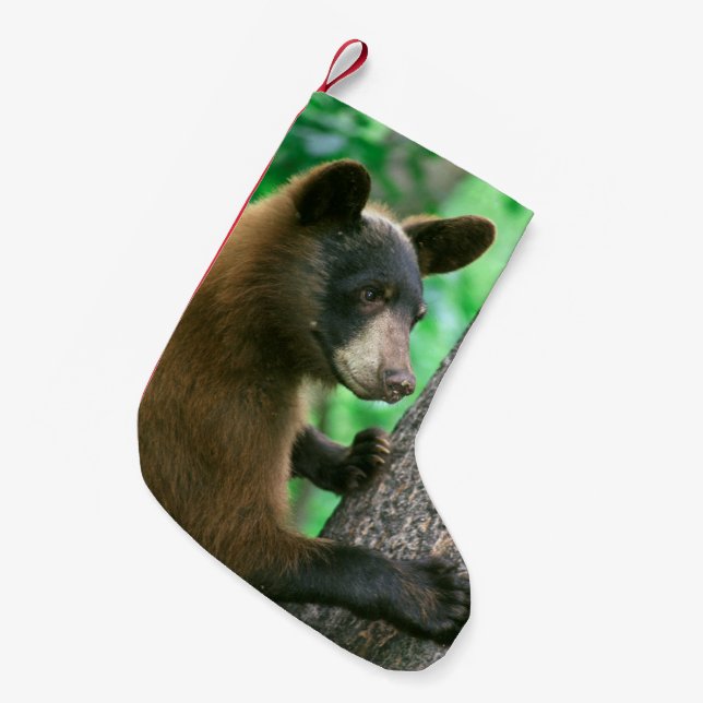 Petite Chaussette De Noël Ours noir dans les bois (Devant (Accrochage))