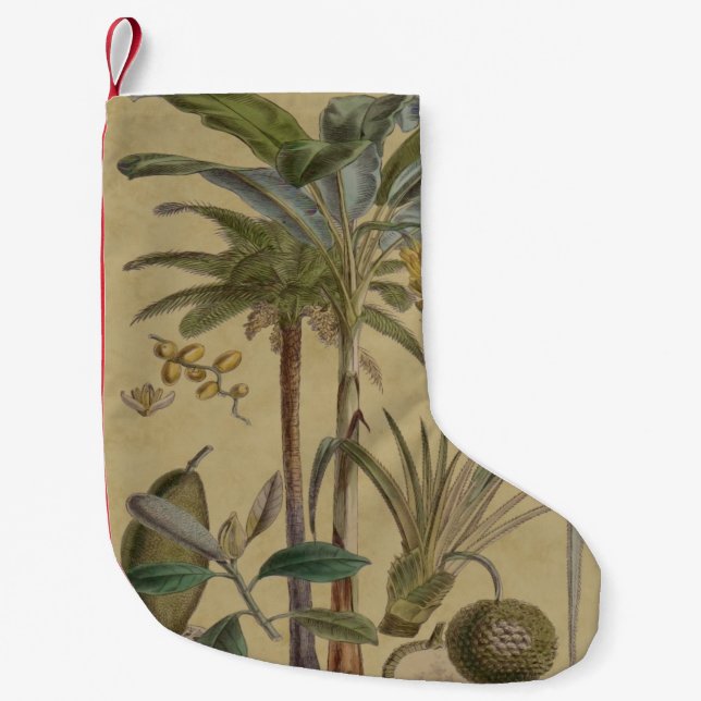 Petite Chaussette De Noël Palm Antique Fruit Tropical Art Botanique (Devant)