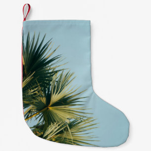 Petite Chaussette De Noël Palmier de ventilateur sous ciel bleu