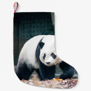 PETITE CHAUSSETTE DE NOËL PANDA DE MARCHE DEVANT UN BÂTIMENT EN BÉTON
