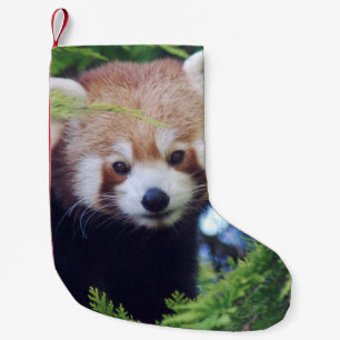 Petite Chaussette De Noël Panda rouge