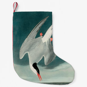 Petite Chaussette De Noël Peinture de faune d'oiseau de sterne arctique Audu