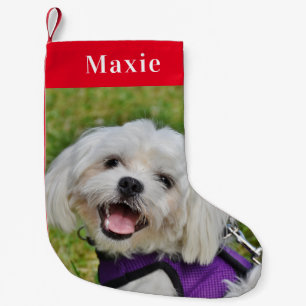 Petite Chaussette De Noël Personnalisé Animaux de compagnie Chien photo vaca