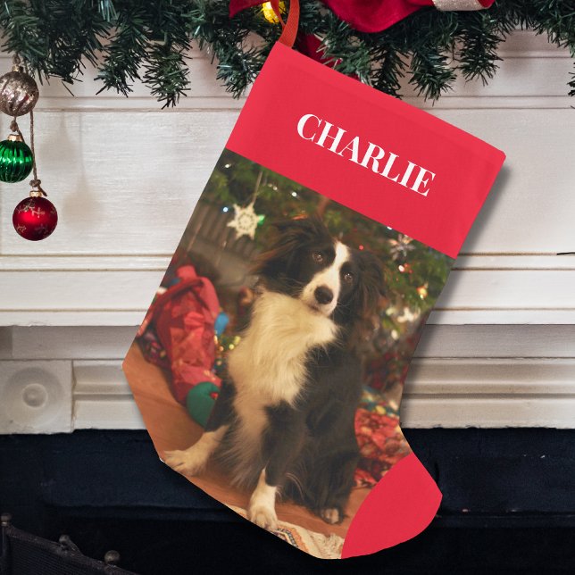 Petite Chaussette De Noël Pet Photo Holiday (Créateur téléchargé)