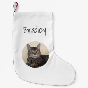 Petite Chaussette De Noël Photo de chat de Noël Typographie simple