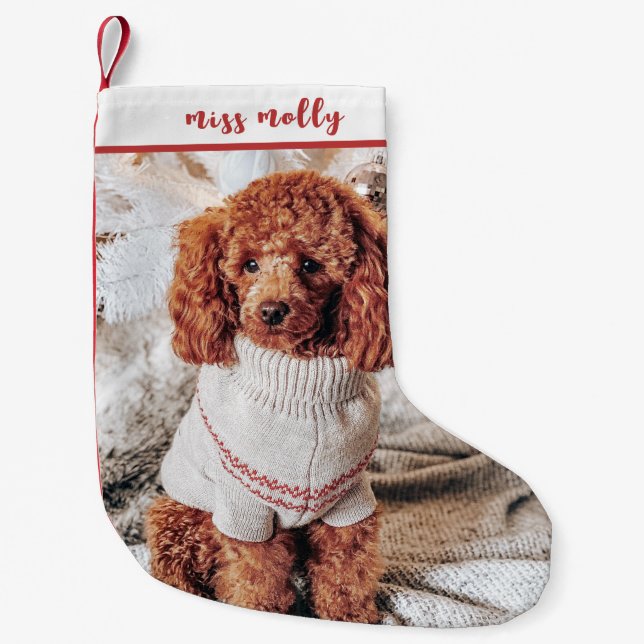 Petite Chaussette De Noël Photo de Noël de l'animal familier (Devant)