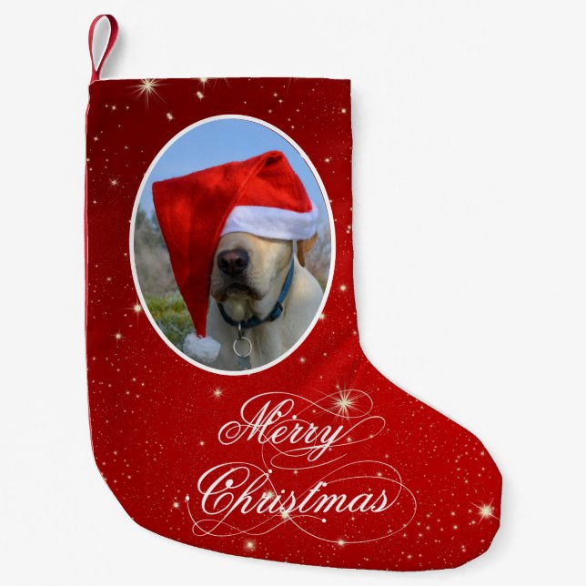 Petite Chaussette De Noël Photo Dog (Devant)