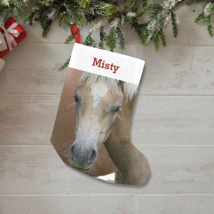 Petite Chaussette De Noël Photo et nom d'amant de poney de cheval d'animal