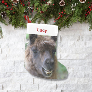 Petite Chaussette De Noël Photo et nom de propriétaire d'amant de lama