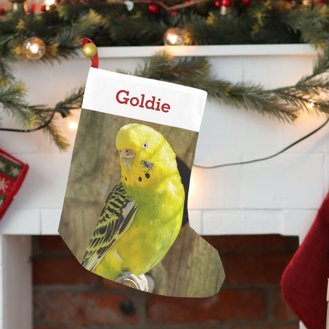 Petite Chaussette De Noël Photo et nom personnalisé de l'amoureux des oiseau (Créateur téléchargé)