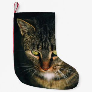 PETITE CHAUSSETTE DE NOËL PHOTOGRAPHIE COMPLÈTE DE TABY GRIS CAT