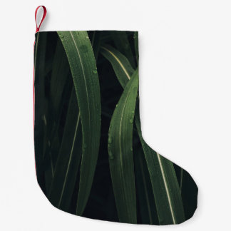 PETITE CHAUSSETTE DE NOËL PLANTE VERT