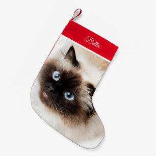 Petite Chaussette De Noël Prise de Noël himalayenne