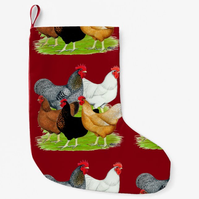 Petite Chaussette De Noël Quintette de poulet liée au sexe (Devant)