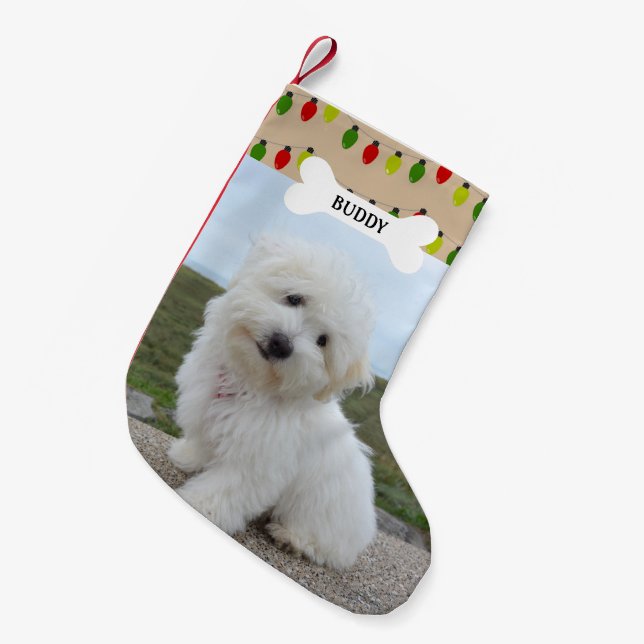 Petite Chaussette De Noël Red Green Lights Chien Os Animal Photo (Devant (Accrochage))