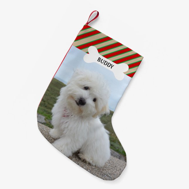 Petite Chaussette De Noël Red Green Lines Chien Bone Pet Photo (Devant (Accrochage))