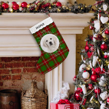 Red Green Tartan Plaid Winter Wreath Pet Dog Photo