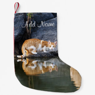 Petite Chaussette De Noël Réflexion de chats dans l'étang Photo amusante -