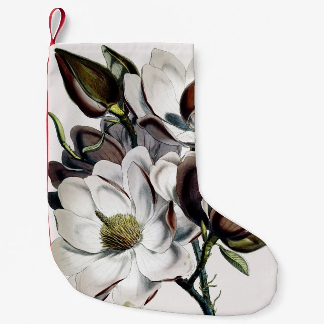 Petite Chaussette De Noël Rêve de chocolat de magnolia (Devant)