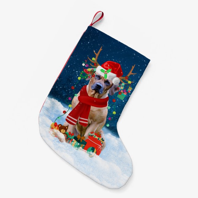 Petite Chaussette De Noël Rhodesian Ridgeback chien avec cadeaux de Noël (Devant (Accrochage))