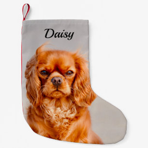 Petite Chaussette De Noël Ruby Cavalier King Charles Spaniel Chien