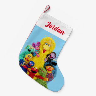 Petite Chaussette De Noël Rue Sésame   Portrait amusant de Pals colorés