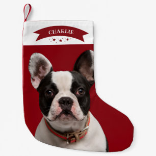 Petite Chaussette De Noël Simple mignon Photo Personnalisée Chien