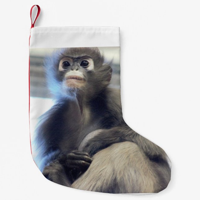 Petite Chaussette De Noël Singe (Devant)